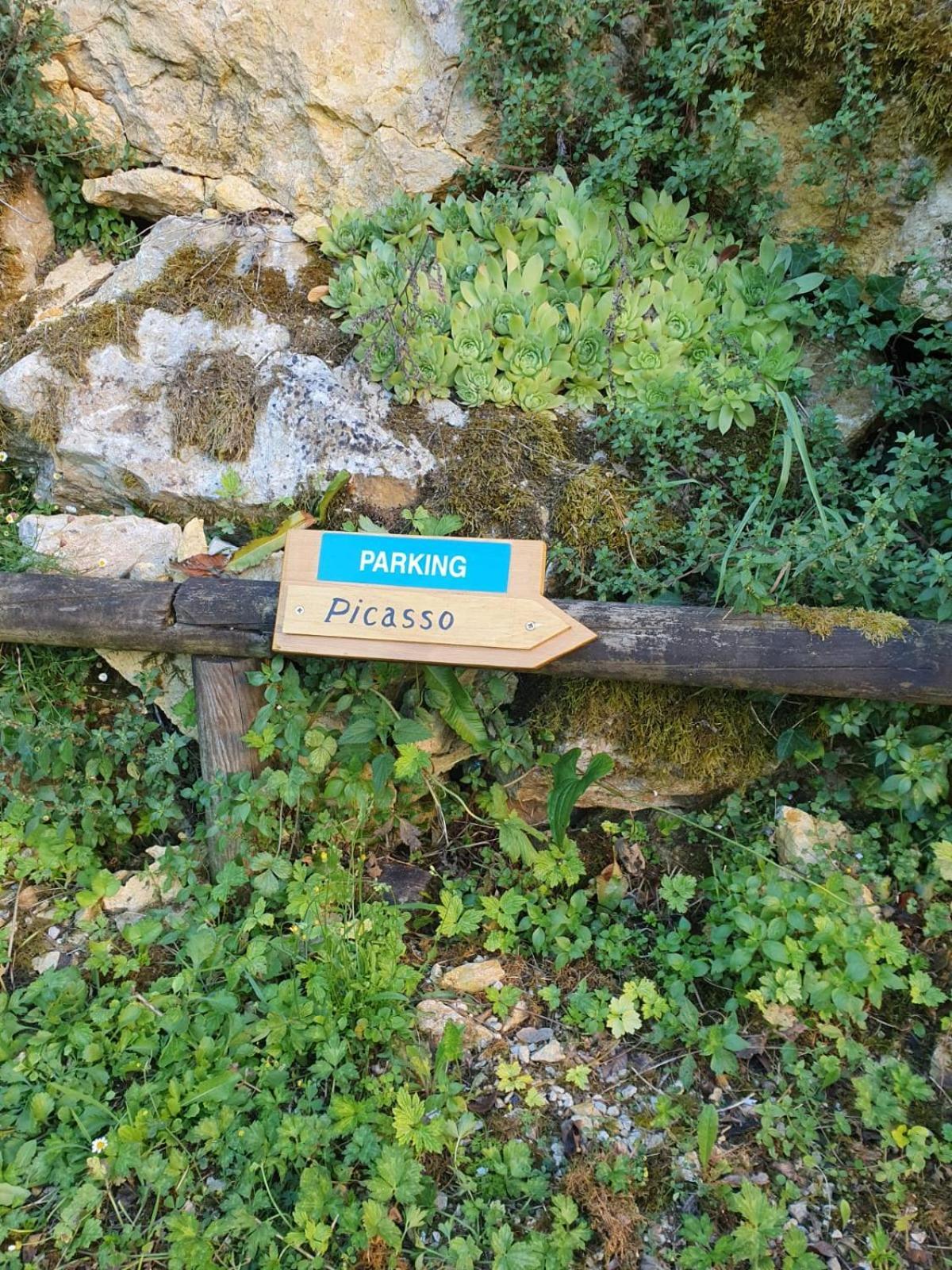 Residence Les Trois Jardins Avec Wifi Et Parking Gratuit Sarlat-la-Caneda Luaran gambar